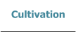 Cultivation