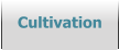 Cultivation