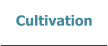 Cultivation