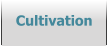 Cultivation
